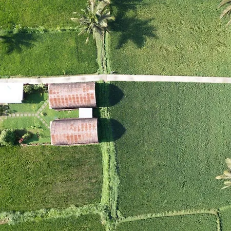 Bale Tetebatu Villa Exterior photo