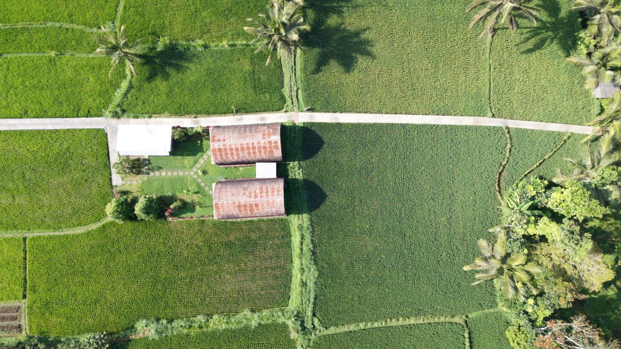 Rumah liburan Bale