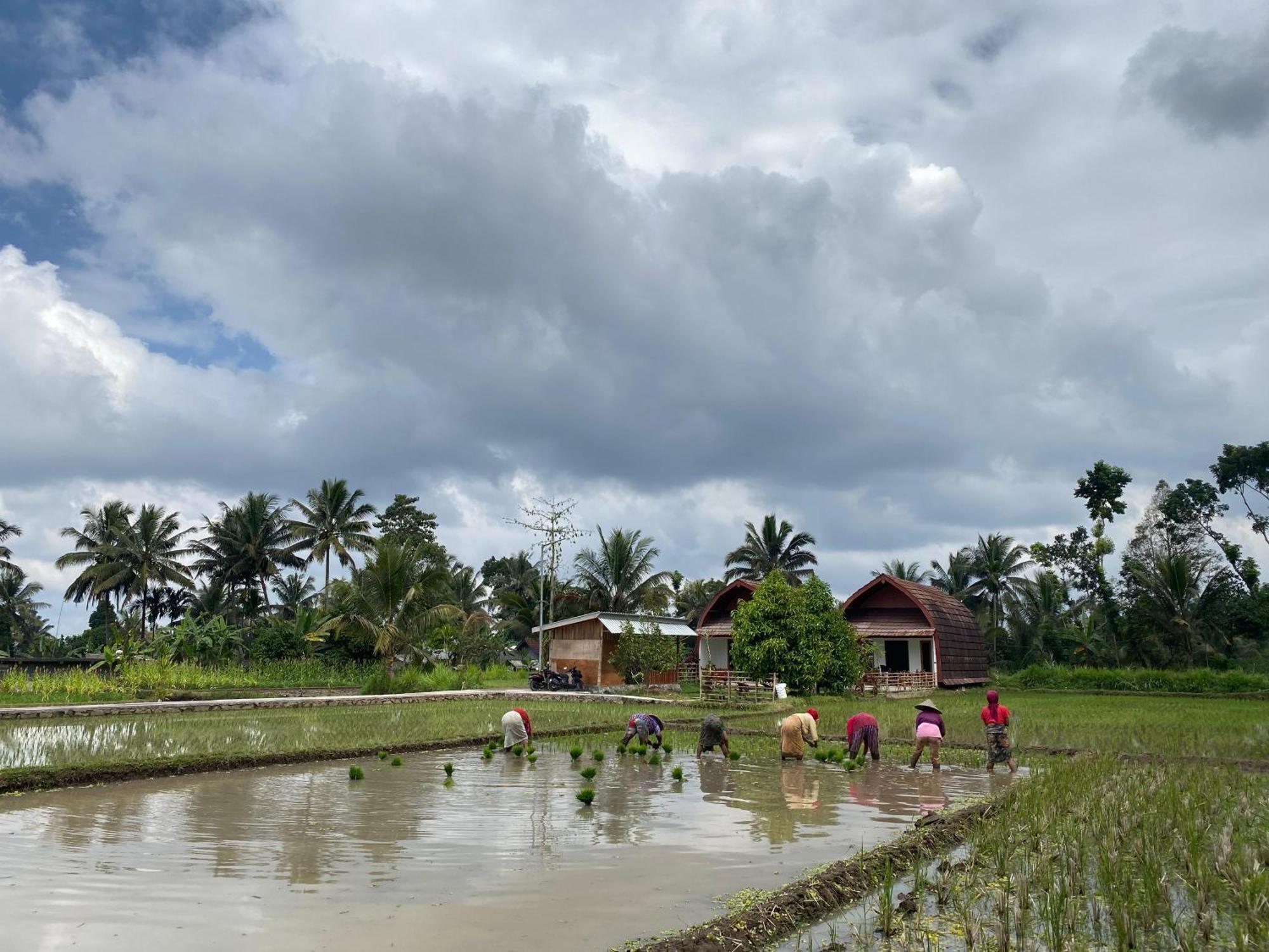 Bale Rumah liburan